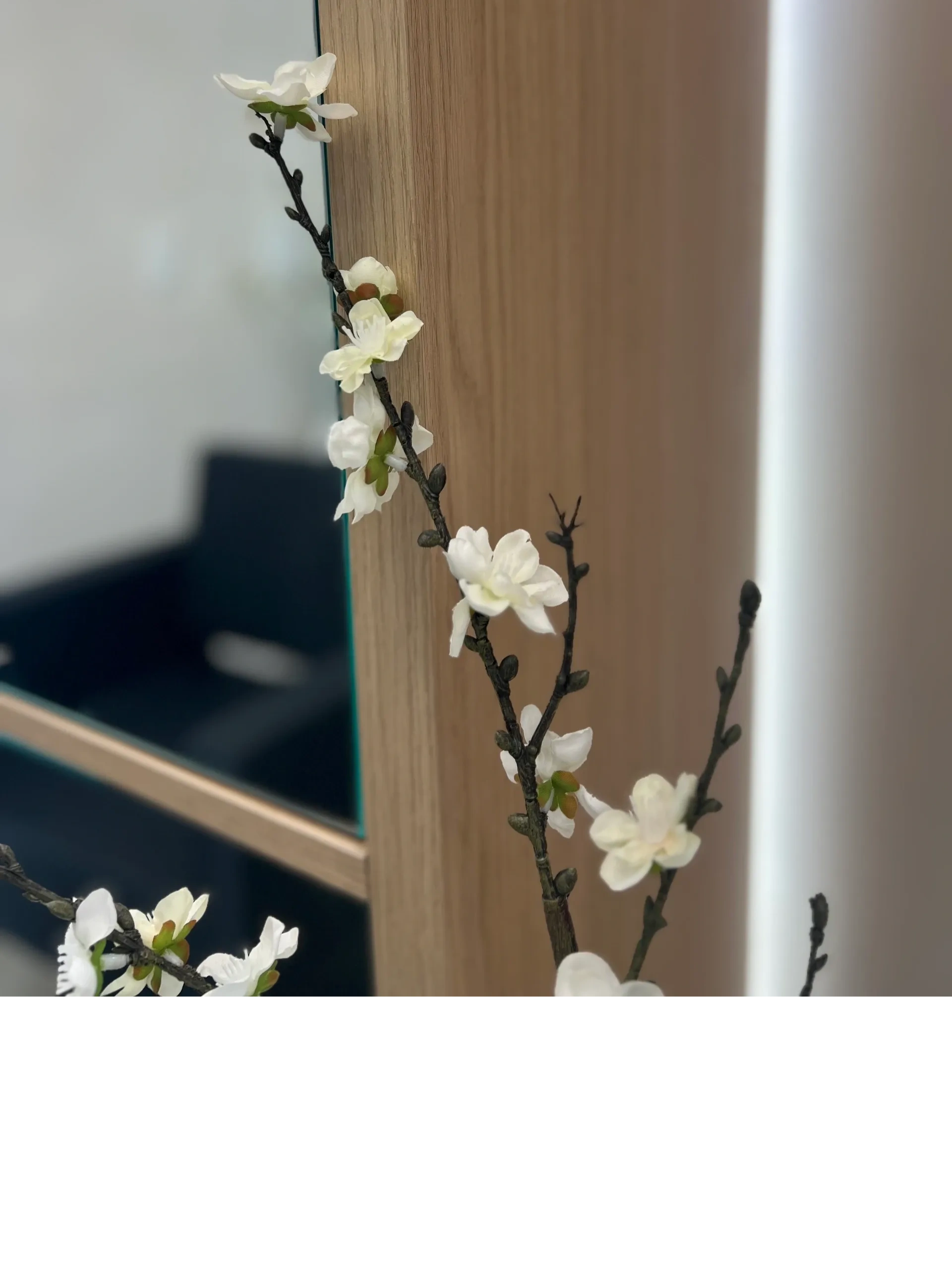Delicate floral branch in salon